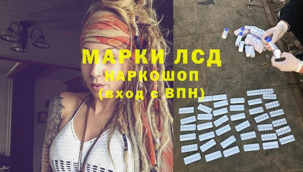 прущие крисы Горняк